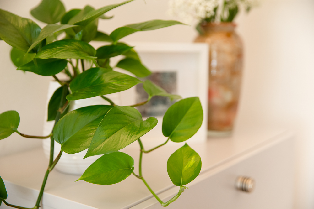 Praxis für Psychotherapie München - Detail  Behandlungszimmer